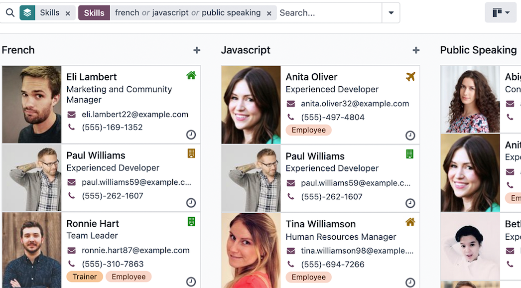 Employees grouped by skills in Odoo