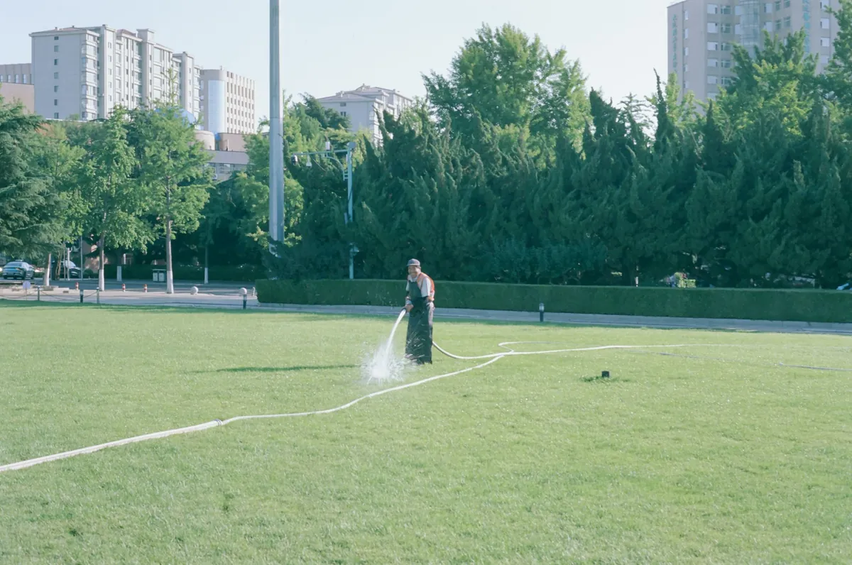 Gardener watering a lawn with a hose